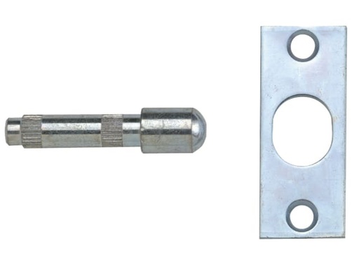[YALP125SC] P125 Hinge Bolts Zinc