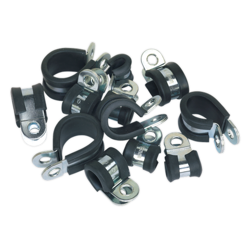 [PCJASS] Sealey PCJASS P-Clip Rubber Lined Assortment 60pc